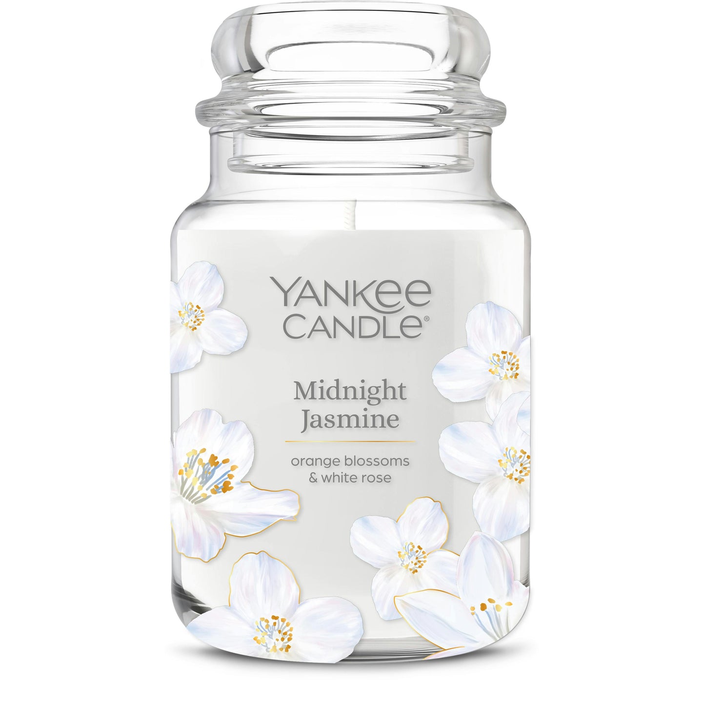 Midnight Jasmine - V1Z3