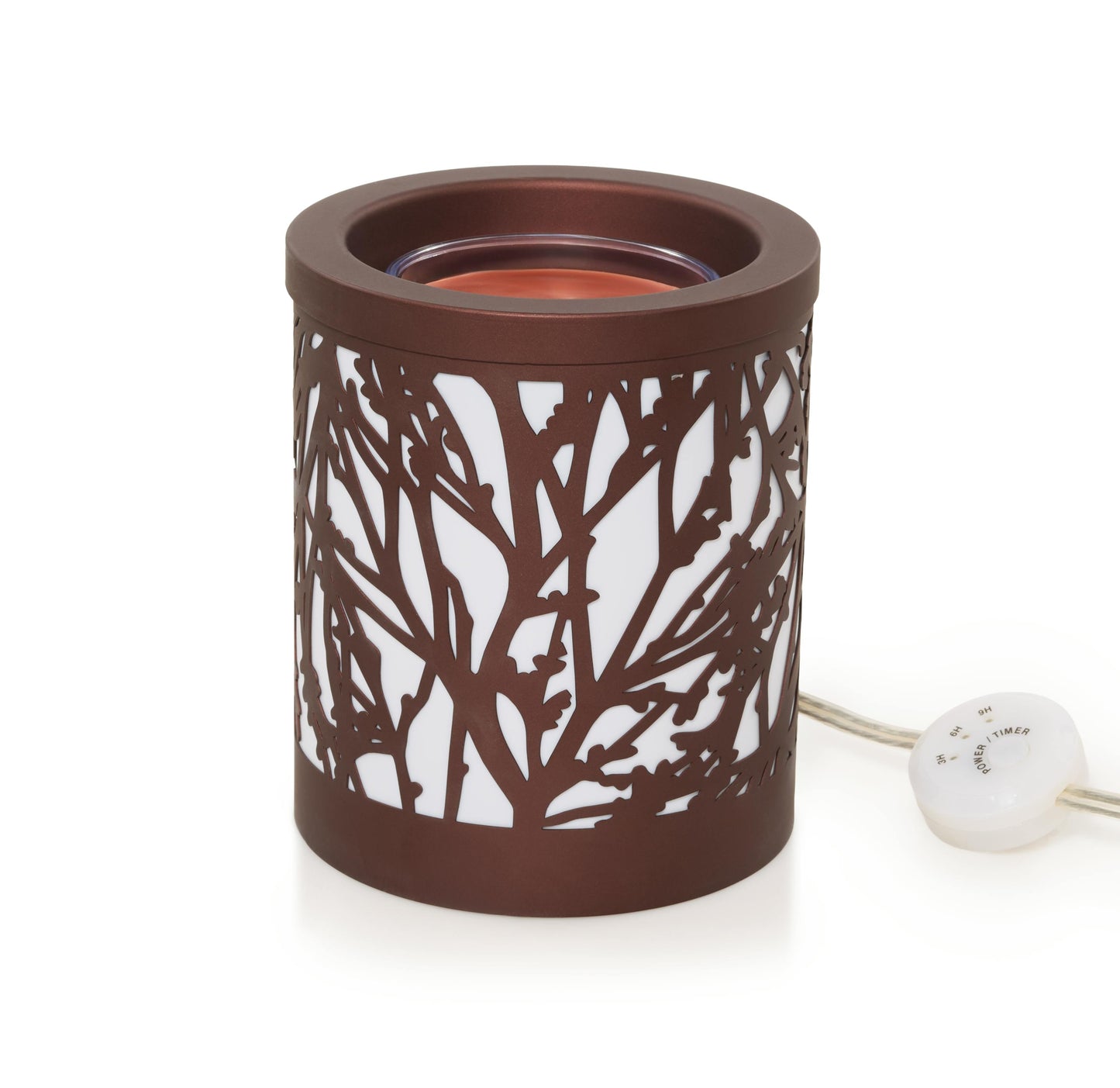 Novelty Branches - DSTE