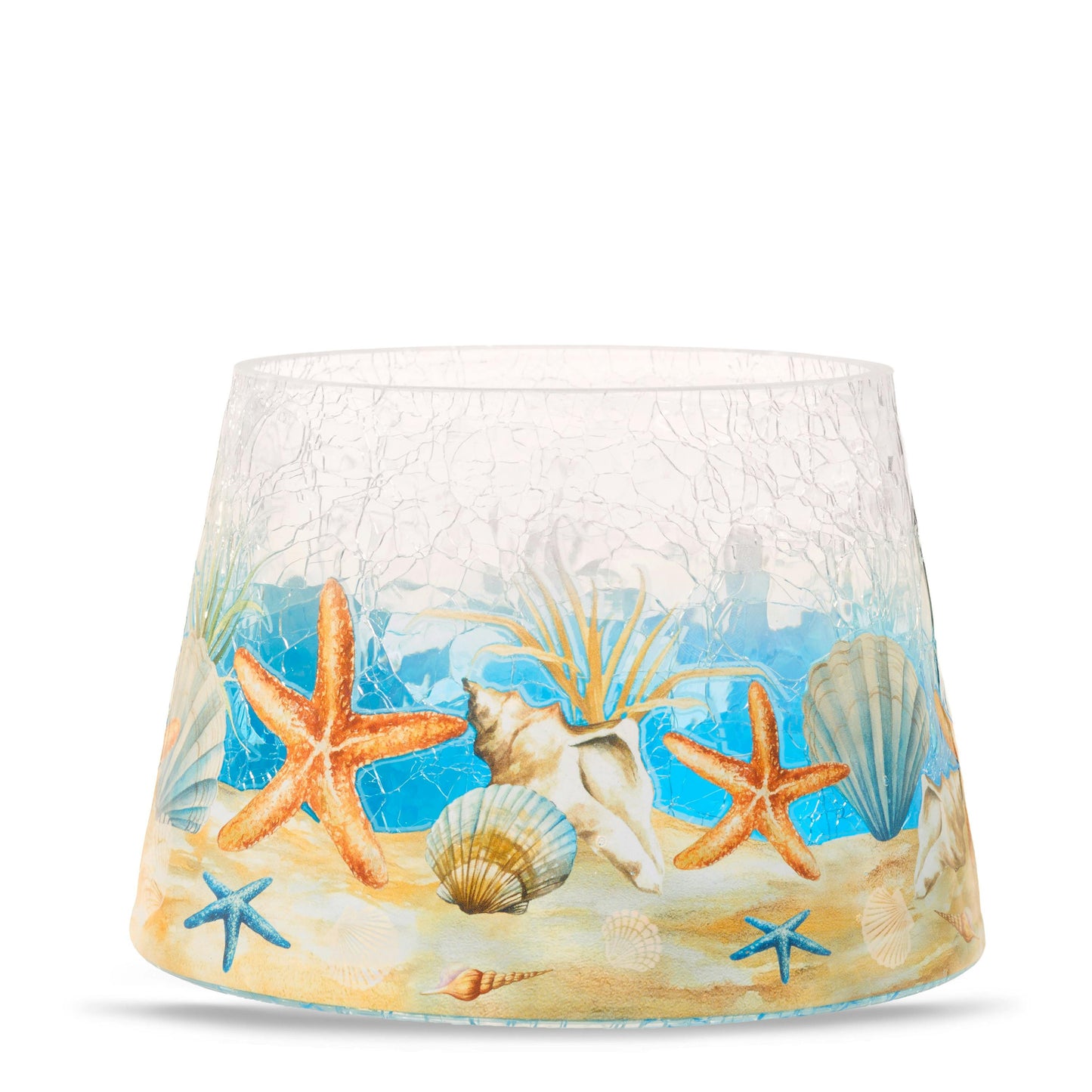Seashell Jar Shade - 88J9