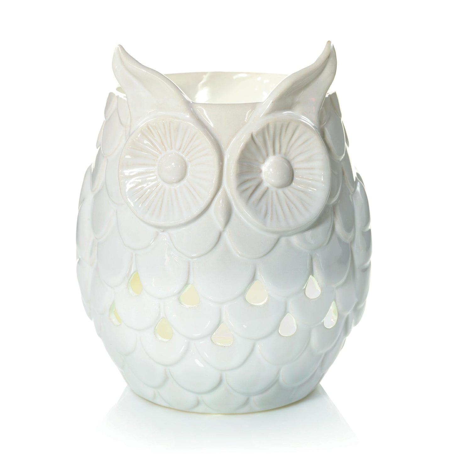 Owl - 4UZW