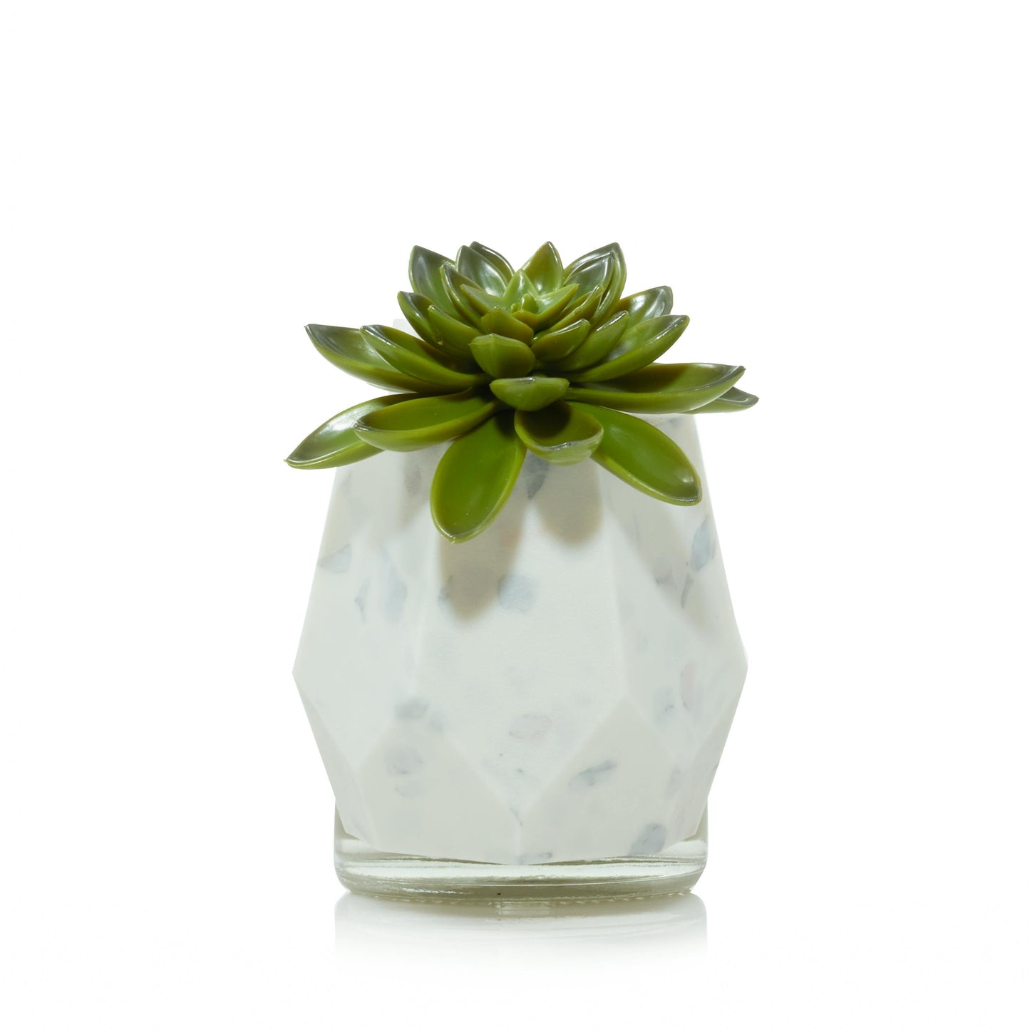 Faceted Succulent ScentPlug® Diffuser with Light - YBM4