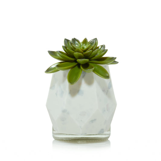Faceted Succulent ScentPlug® Diffuser with Light - YBM4